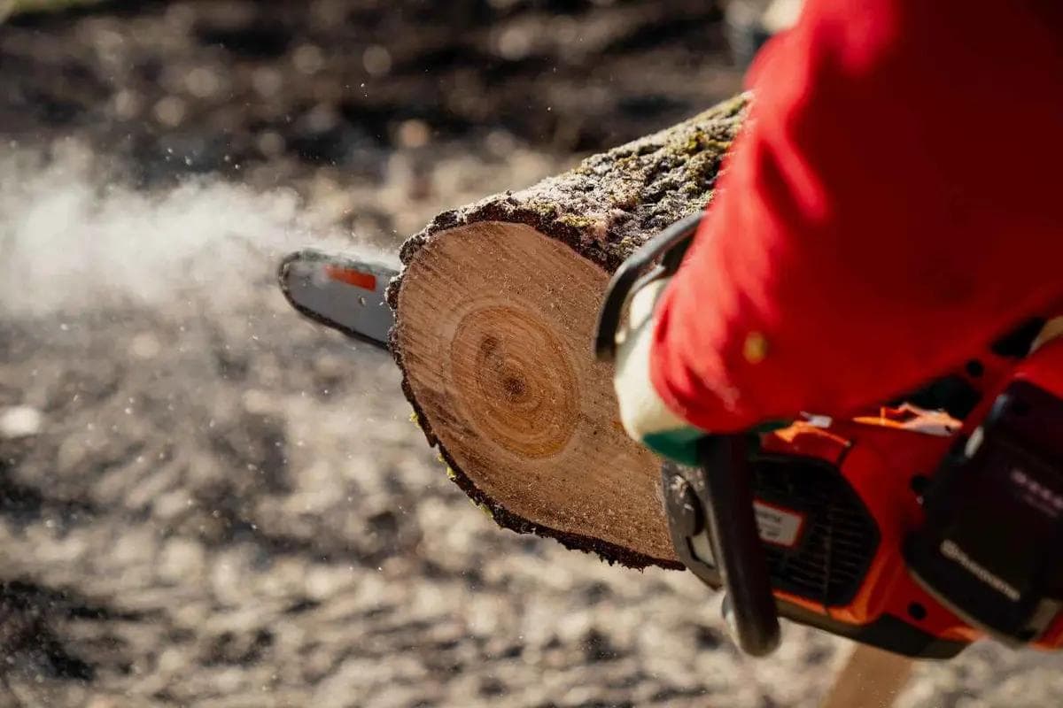 chainsaw cutting through a tree