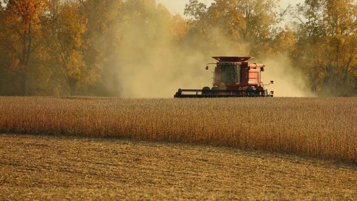 combine harvester cutting and collecting crops in a field